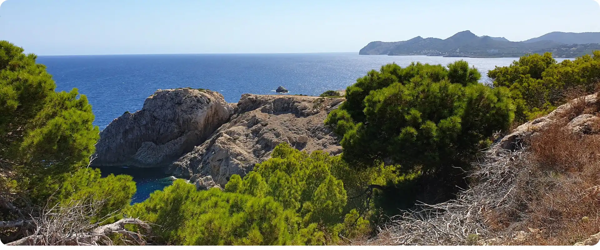 Rejser til Cala Ratjada fra Hamborg Lufthavn-2.webp