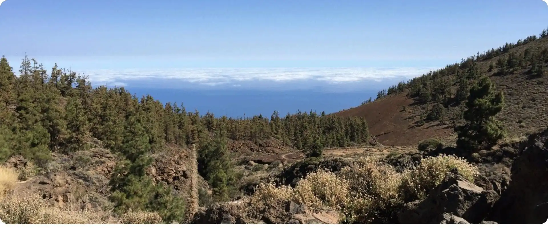 Tenerife Fra Hamborg Billede El Teide charterrejse.webp