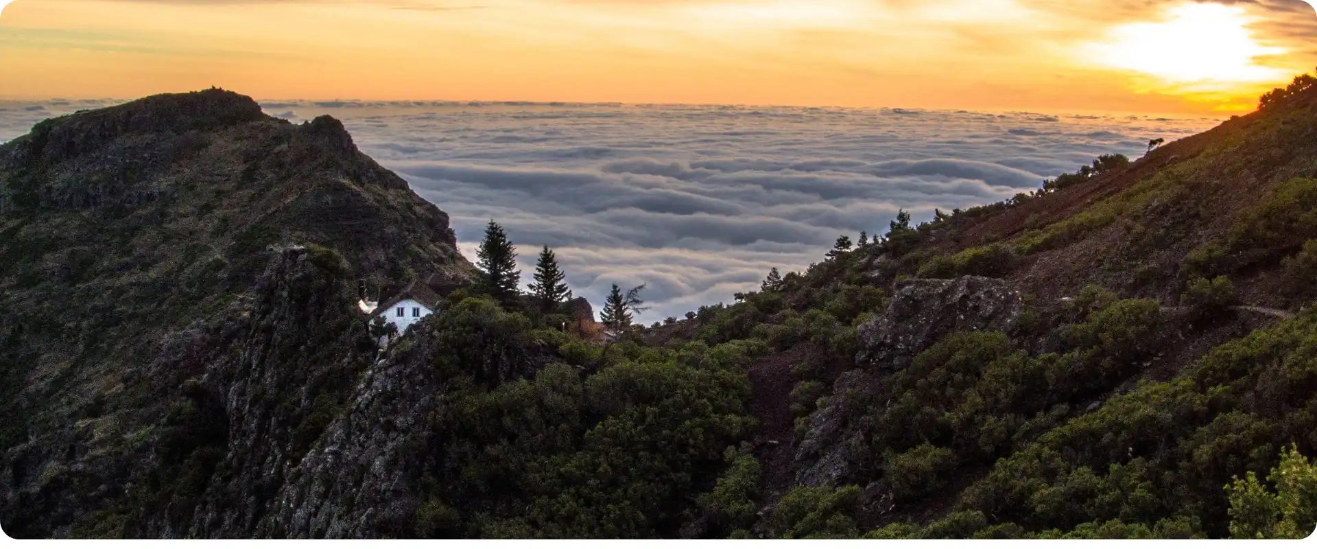 Rejser til Madeira fra Hamborg Lufthavn.webp