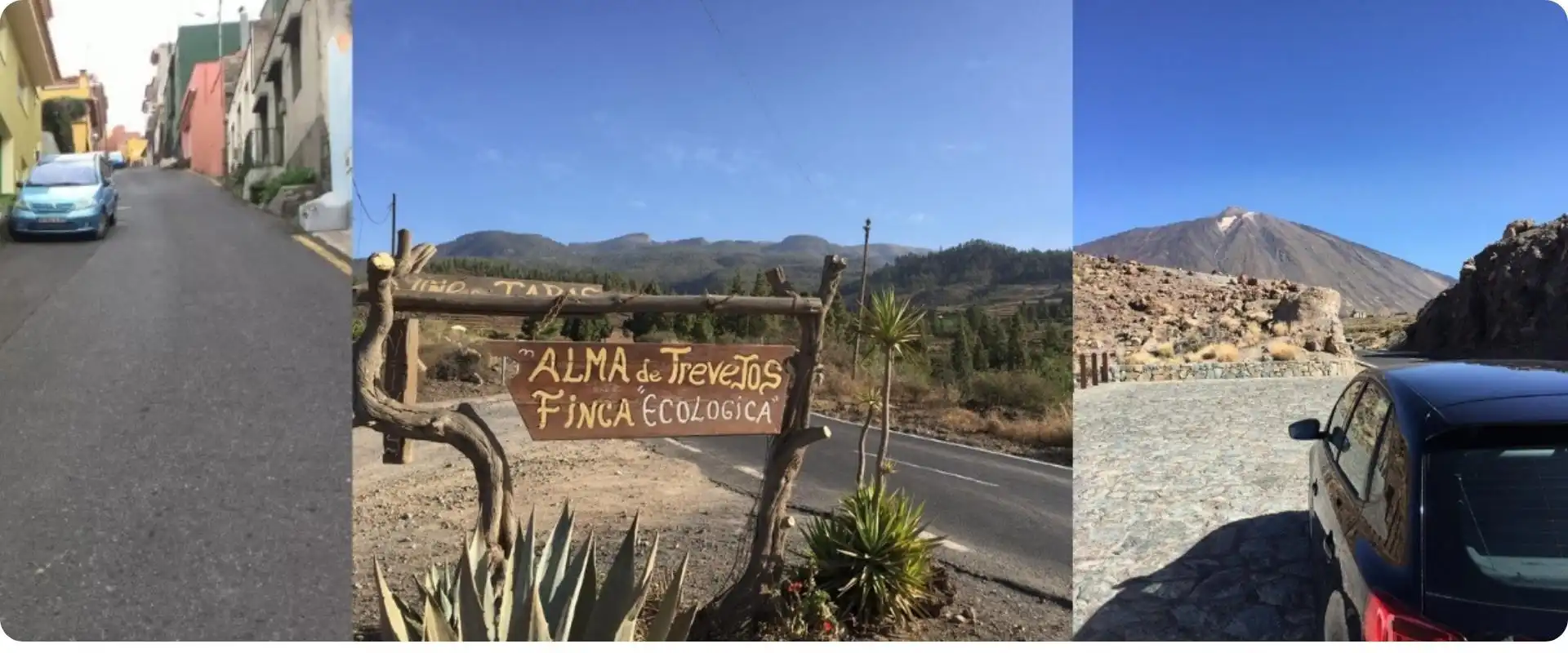 Tenerife Fra Hamborg charterrejse.webp