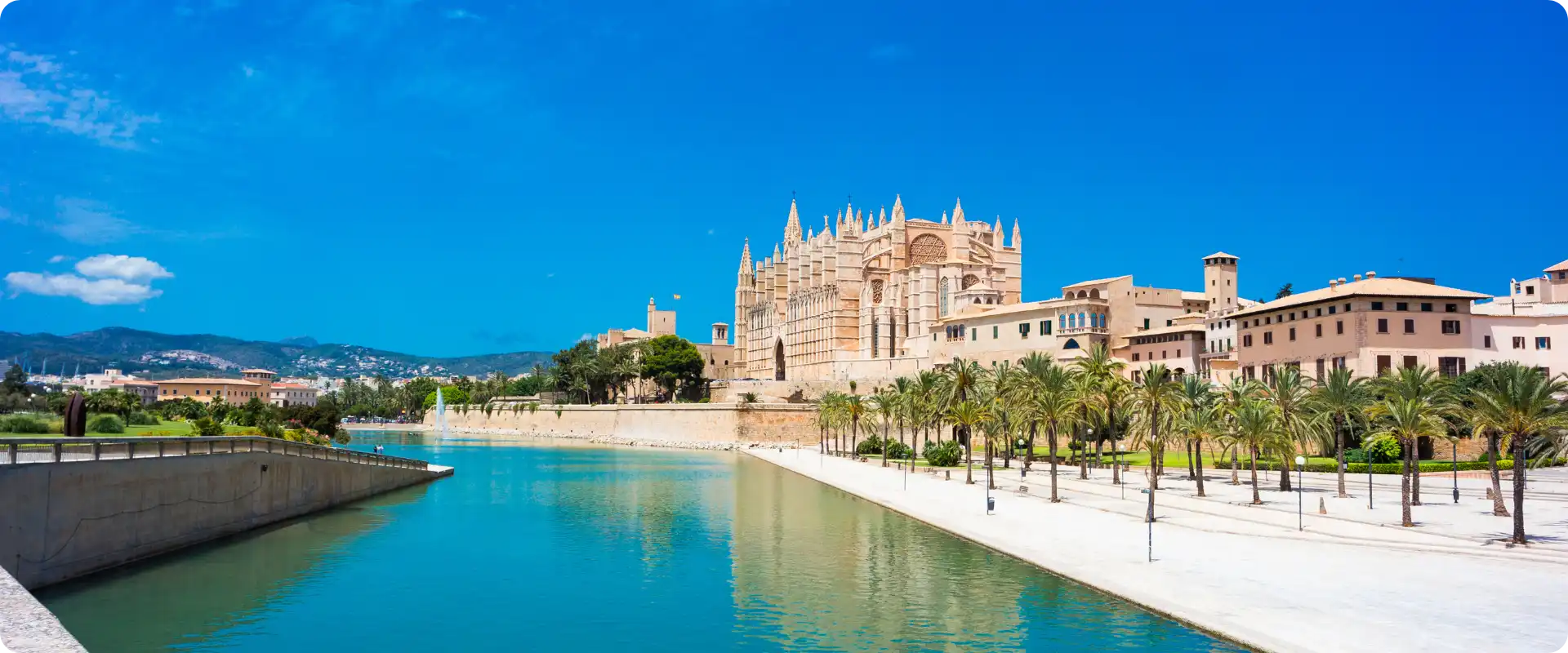 Palma-katedral.webp